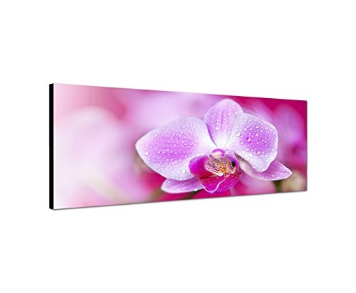 Sinus Art Wandbild 150x50cm Orchidee Blüte Blume Wassertropfen pink