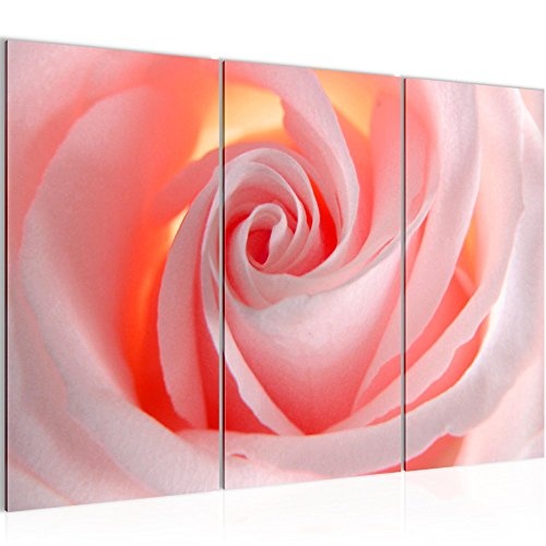 Runa Art Bilder Blumen Rose Wandbild 120 x 80 cm Vlies -...