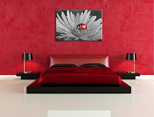 rot leuchtender Marienkäfer auf Blüte schwarz/weiß Format: 120x80 auf Leinwand, XXL riesige Bilder fertig gerahmt mit Keilrahmen, Kunstdruck auf Wandbild mit Rahmen, günstiger als Gemälde oder Ölbild, kein Poster oder Plakat