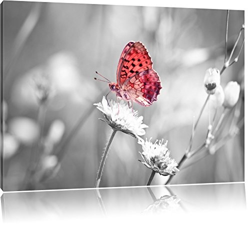 wunderschöner Schmetterling auf Blüte schwarz/weiß Format: 120x80 auf Leinwand, XXL riesige Bilder fertig gerahmt mit Keilrahmen, Kunstdruck auf Wandbild mit Rahmen, günstiger als Gemälde oder Ölbild, kein Poster oder Plakat
