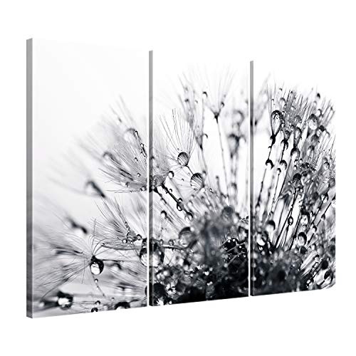 ge Bildet® hochwertiges Leinwandbild XXL Pflanzen Bilder - Another World - schwarz weiß - Blumen Natur Pusteblume - 120 x 80 cm mehrteilig (3 teilig) 2207 H