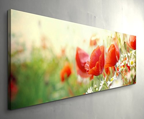 Paul Sinus Art Leinwandbilder | Bilder Leinwand 120x40cm Mohnblumen im Sonnenschein