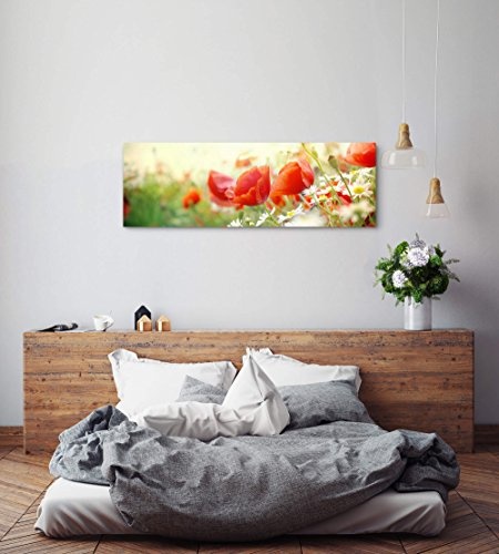 Paul Sinus Art Leinwandbilder | Bilder Leinwand 120x40cm Mohnblumen im Sonnenschein