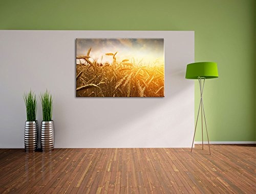 Getreide im Sonnenlicht Format: 120x80 auf Leinwand, XXL riesige Bilder fertig gerahmt mit Keilrahmen, Kunstdruck auf Wandbild mit Rahmen, günstiger als Gemälde oder Ölbild, kein Poster oder Plakat