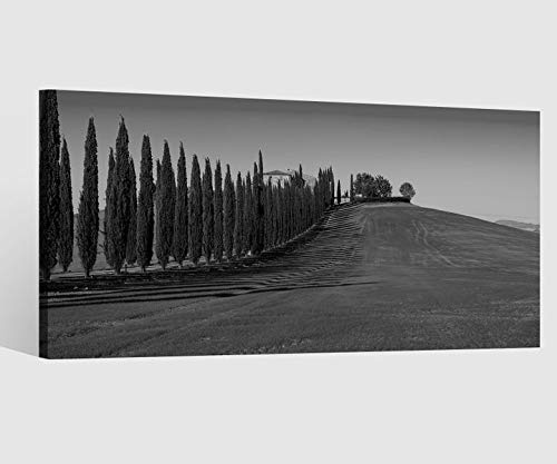 Leinwandbild 1tlg schwarz weiß Landschaft Baum Bäume Hügel Toskana Italien Vintage Bilder Leinwand Wandbild Leinwandbilder Wohnzimmer 9CB809, Leinwand Größe 1:40x20cm