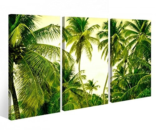 Leinwandbild 3 Tlg. Palmen Palme Baumkrone Insel Leinwand Bild grün Bilder Holz - fertig gerahmt vom Hersteller 9O826, 3 tlg BxH:120x80cm (3Stk 40x 80cm)
