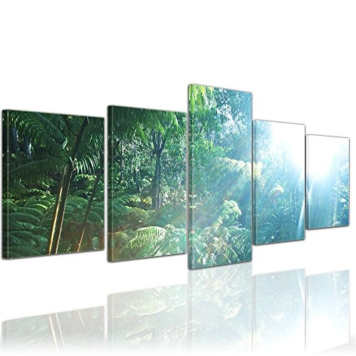 Wandbild - Regenwald in Hawaii - Bild auf Leinwand - 200x80 cm 5 teilig - Leinwandbilder - Bilder als Leinwanddruck - Landschaften - Urwald auf Hawai - Kauai