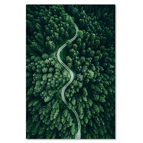 Feeby Bilder Landschaft Wald 40x60 cm - Leinwandbild -1 Teilig Kunstdruck modern Grün