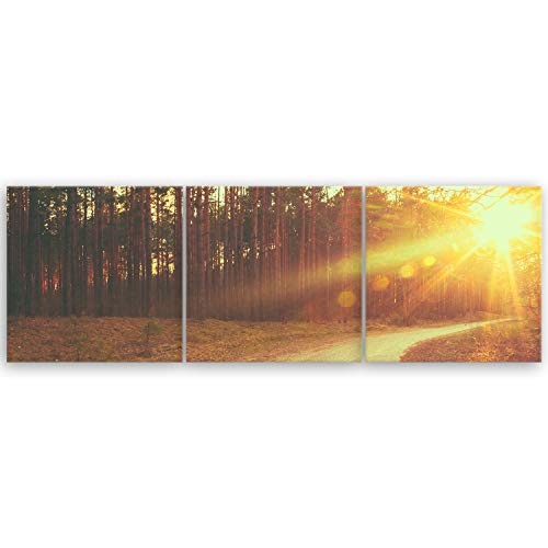 ge Bildet® hochwertiges Leinwandbild Panorama XXL Naturbilder Landschaftsbilder - Freedom - Natur Blumen Wald Sonnenuntergang - 150 x 50 cm mehrteilig (3 teilig) 2213 H