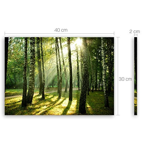 ge Bildet® hochwertiges Leinwandbild Pflanzen Bilder - Wald - Natur Blumen Wald Sonnenschein grün - 40 x 30 cm einteilig 2206 J