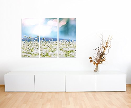 130x90cm - Keilrahmenbild Kamille Feld Sonne hell 3teiliges Wandbild auf Leinwand und Keilrahmen - Fotobild Kunstdruck Artprint