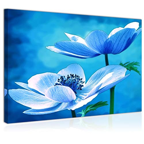 Topquadro Wandbild, Leinwandbild 70x50cm, Weiße und Blaue Blume, Zarte Farben - Keilrahmenbild, Bild auf Leinwand - Einteilig, Fertig zum Aufhängen