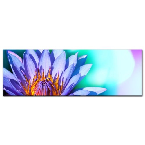 Keilrahmenbild - Lotusblüte II - Bild auf Leinwand - 160x50 cm - Leinwandbilder - Geist & Seele - Pflanzen - Blume - lila Blüte - türkis