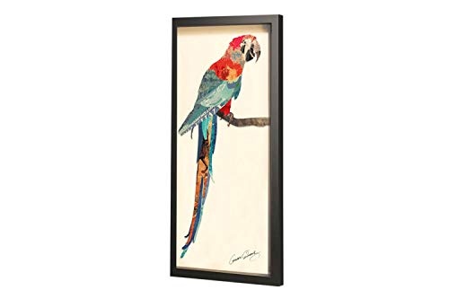 Trendiges KunstLoft® Bild Frame Art 3D Papagei Passion 41x81cm | Handgefertigte Vintage Wanddeko aus Papier | Papagei Vogel Bunt Pop Art | Wandbild Collage Art moderne Kunst Retro im Bilderrahmen