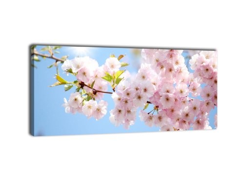 Leinwandbild Panorama Nr. 86 Kirsche 100x40cm, Keilrahmenbild, Bild auf Leinwand, Blüte Frühling Sakura