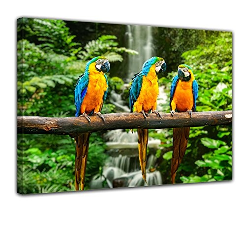 Keilrahmenbild - Blau-Gelber Papagei - Bild auf Leinwand - 120x90 cm - Leinwandbilder - Tierwelten - Südamerika - Ara - Gelbbrustara - tropisch