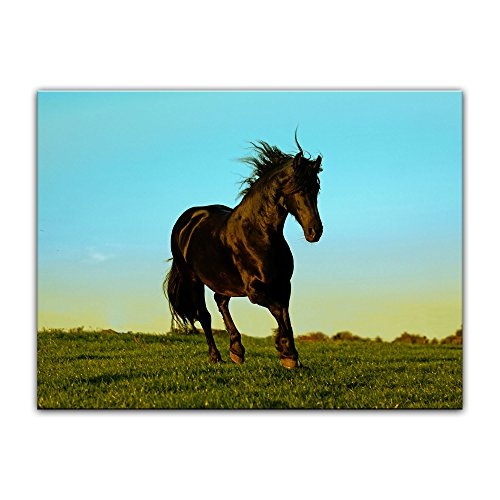 Keilrahmenbild - Pferd - Bild auf Leinwand 120 x 90 cm - Leinwandbilder - Bilder als Leinwanddruck - Tierwelten - Natur - Hengst im Galopp