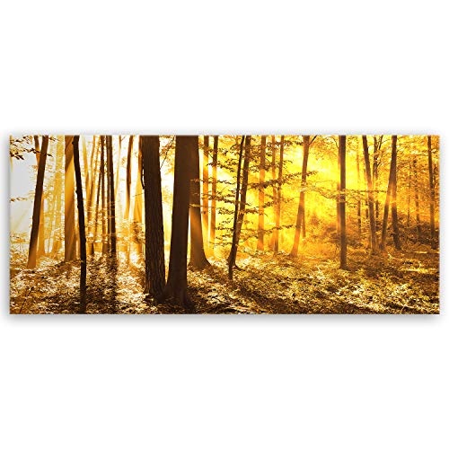 ge Bildet® hochwertiges Leinwandbild Panorama Pflanzen Bilder - Beautiful Morning in The Forest - Natur Blumen Wald gelb orange - 100 x 40 cm einteilig 2206 I