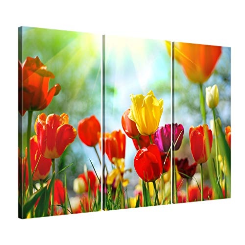 ge Bildet® hochwertiges Leinwandbild - Frühlings Tulpen - 90 x 60 cm mehrteilig (3 teilig) 1311