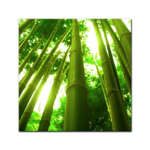 Keilrahmenbild - Bambus in Thailand - Bild auf Leinwand -...