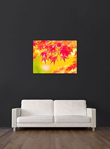 Keilrahmenbild - Rote und gelbe Ahornblätter - Bild auf Leinwand - 120x90 cm einteilig - Leinwandbilder - Pflanzen & Blumen - Herbst - Fächerahorn - stimmungsvoll - rot, gelb und orange