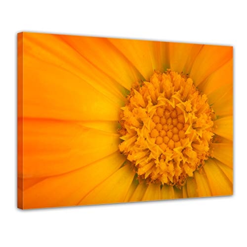 Keilrahmenbild - Gelbe Blume - Bild auf Leinwand - 120x90 cm einteilig - Leinwandbilder - Pflanzen & Blumen - Nahaufnahme Einer Blüte