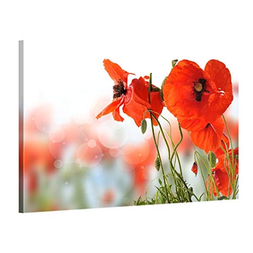 ge Bildet® hochwertiges Leinwandbild Pflanzen Bilder - Mohn - Blumen Rot Natur - 70 x 50 cm einteilig 2207 D