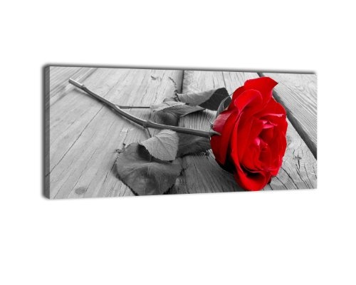 Leinwandbild Panorama Nr. 53 Rose 100x40cm, Keilrahmenbild, Bild auf Leinwand, Kunstdruck Rose rot Liebe