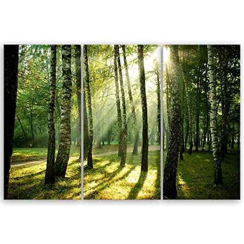ge Bildet® hochwertiges Leinwandbild XXL Naturbilder Landschaftsbilder - Wald - Natur Blumen Wald Sonnenschein grün - 120 x 80 cm mehrteilig (3 teilig) 2212 I