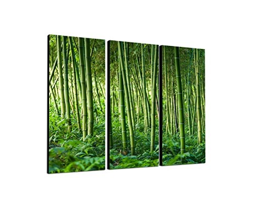 130x90cm - Keilrahmenbild Bambus Wald leuchtend grün 3teiliges Wandbild auf Leinwand und Keilrahmen - Fotobild Kunstdruck Artprint