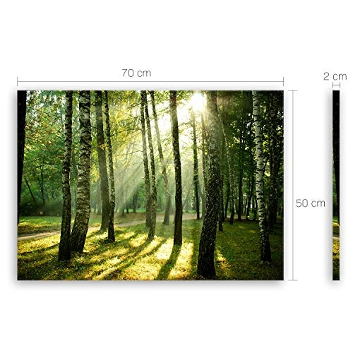 ge Bildet® hochwertiges Leinwandbild - Wald - 70 x 50 cm einteilig 2208 J