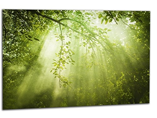 kunst-discounter Leinwandbild auf Keilrahmen A05232 Forest Nature GRÜN Deko 120 x 80 cm