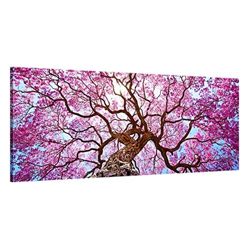 ge Bildet® hochwertiges Leinwandbild Panorama Naturbilder Landschaftsbilder - Rosa Lapacho Baum in Pocone - Brasilien - Natur Baum Pink Lila - 100 x 40 cm einteilig 2213 B