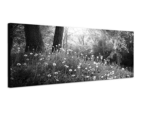 Augenblicke Wandbilder Keilrahmenbild Panoramabild SCHWARZ/Weiss 150x50cm Wald Wiese Pusteblumen Frühling Sonnenlicht