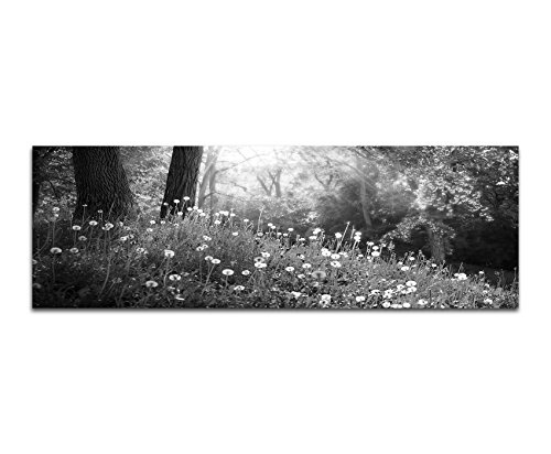 Augenblicke Wandbilder Keilrahmenbild Panoramabild SCHWARZ/Weiss 150x50cm Wald Wiese Pusteblumen Frühling Sonnenlicht