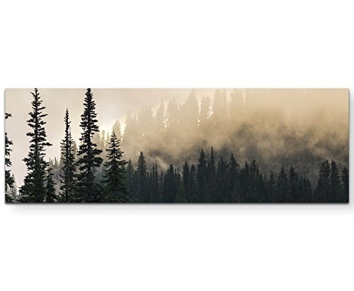 Eau Zone Wandbild auf Leinwand 120x40cm Wald im Nebel