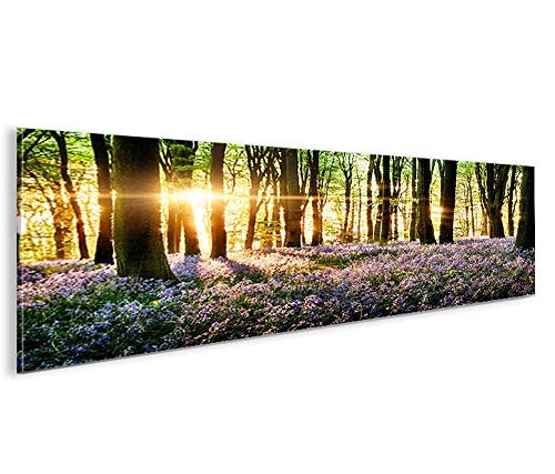 islandburner Bild Bilder auf Leinwand Lavendel im Wald...