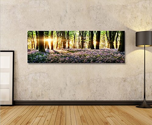 islandburner Bild Bilder auf Leinwand Lavendel im Wald Panorama XXL Poster Leinwandbild Wandbild Dekoartikel Wohnzimmer Marke