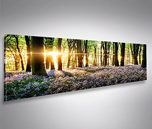 islandburner Bild Bilder auf Leinwand Lavendel im Wald Panorama XXL Poster Leinwandbild Wandbild Dekoartikel Wohnzimmer Marke