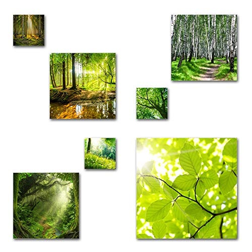 Wald und Bäume Bilder Set, 7-teiliges Bilder-Set,...