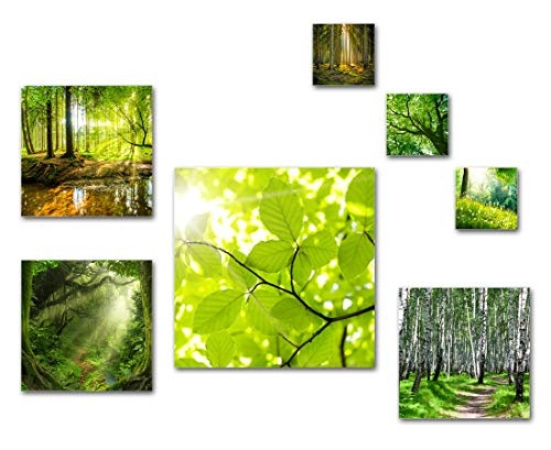 Wald und Bäume Bilder Set, 7-teiliges Bilder-Set, Moderne seidenmatte Optik auf Forex, frei positionierbare schwebende Anbringung, UV-stabil, wasserfest, Kunstdruck für Büro, Wohnzimmer, Deko Bilder