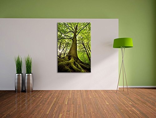 Riesiger Baum im Dschungel Format: 80x60 auf Leinwand, XXL riesige Bilder fertig gerahmt mit Keilrahmen, Kunstdruck auf Wandbild mit Rahmen, günstiger als Gemälde oder Ölbild, kein Poster oder Plakat