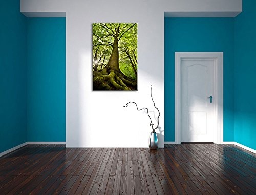 Riesiger Baum im Dschungel Format: 80x60 auf Leinwand, XXL riesige Bilder fertig gerahmt mit Keilrahmen, Kunstdruck auf Wandbild mit Rahmen, günstiger als Gemälde oder Ölbild, kein Poster oder Plakat