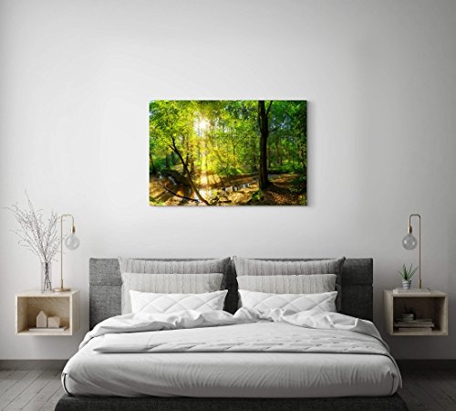 Eau Zone Wandbild auf Leinwand 120x80cm Wald im Sonnenschein