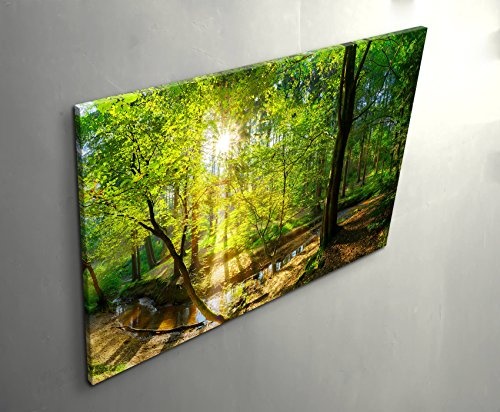 Eau Zone Wandbild auf Leinwand 120x80cm Wald im Sonnenschein