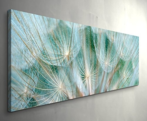 Paul Sinus Art Leinwandbilder | Bilder Leinwand 150x50cm Pusteblume - Nahaufnahme