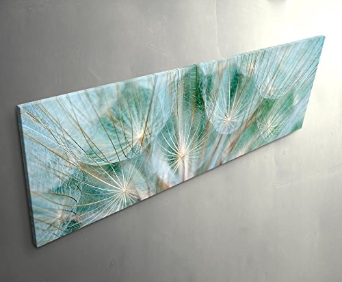 Paul Sinus Art Leinwandbilder | Bilder Leinwand 150x50cm Pusteblume - Nahaufnahme