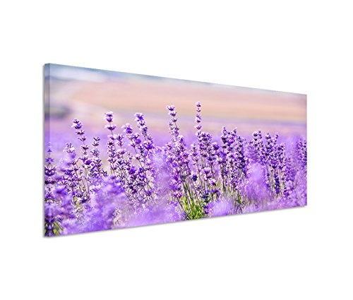 Paul Sinus Art 150x50cm Leinwandbild auf Keilrahmen Lavendel Blumen Wandbild auf Leinwand als Panorama