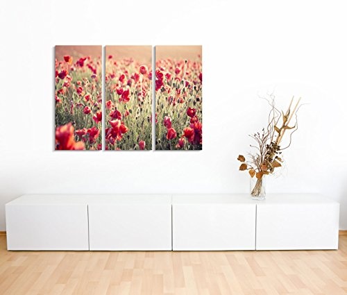 3x40x90cm (Gesamt:130x90cm) 3teiliges Bild auf Leinwand Mohnblumen Wiese Feld Sommer Wandbild auf Leinwand als Panorama