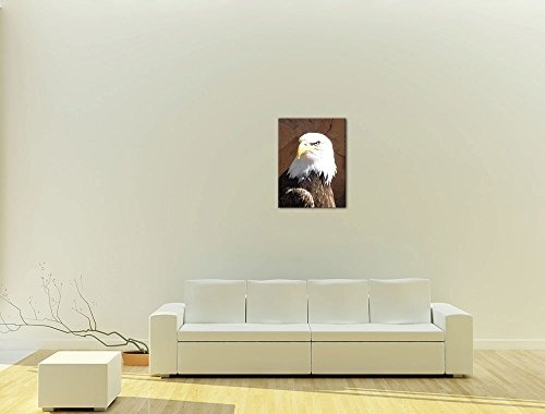 Wandbild - Adler - Bild auf Leinwand 40 x 50 cm - Leinwandbilder - Bilder als Leinwanddruck - Tierwelten - Natur - Vogel - Weisskopfadler